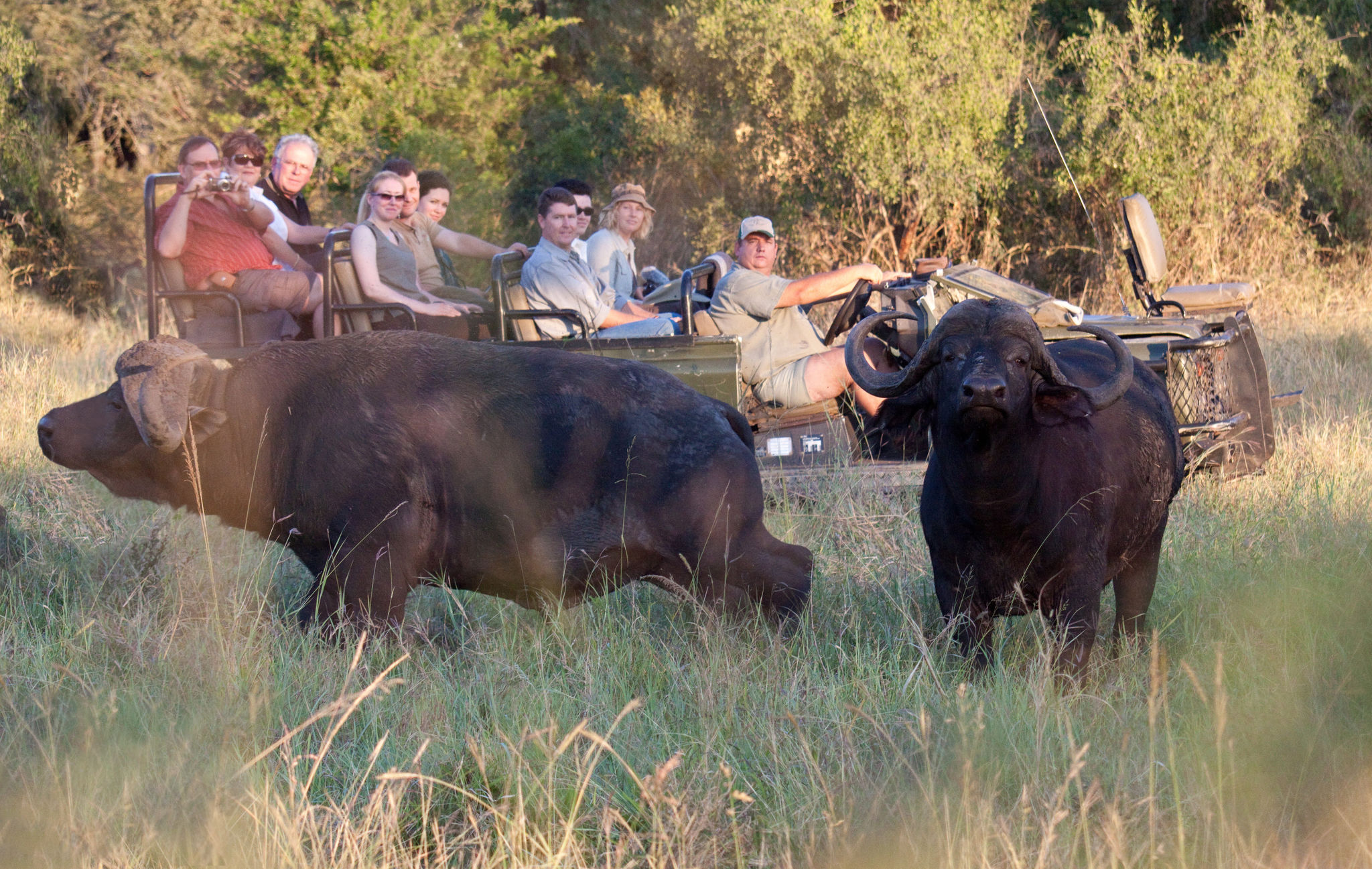 Umkumbe Safari Lodge 10