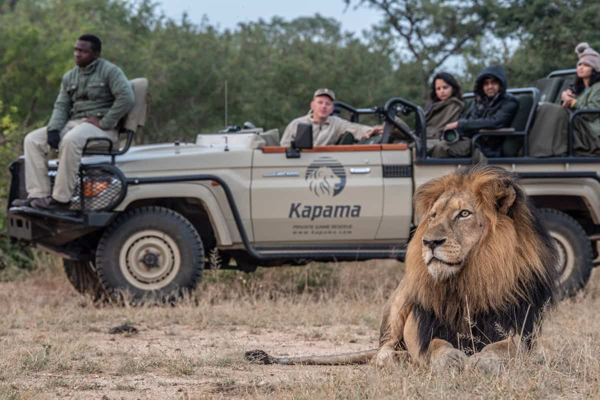 kapama safari images 5