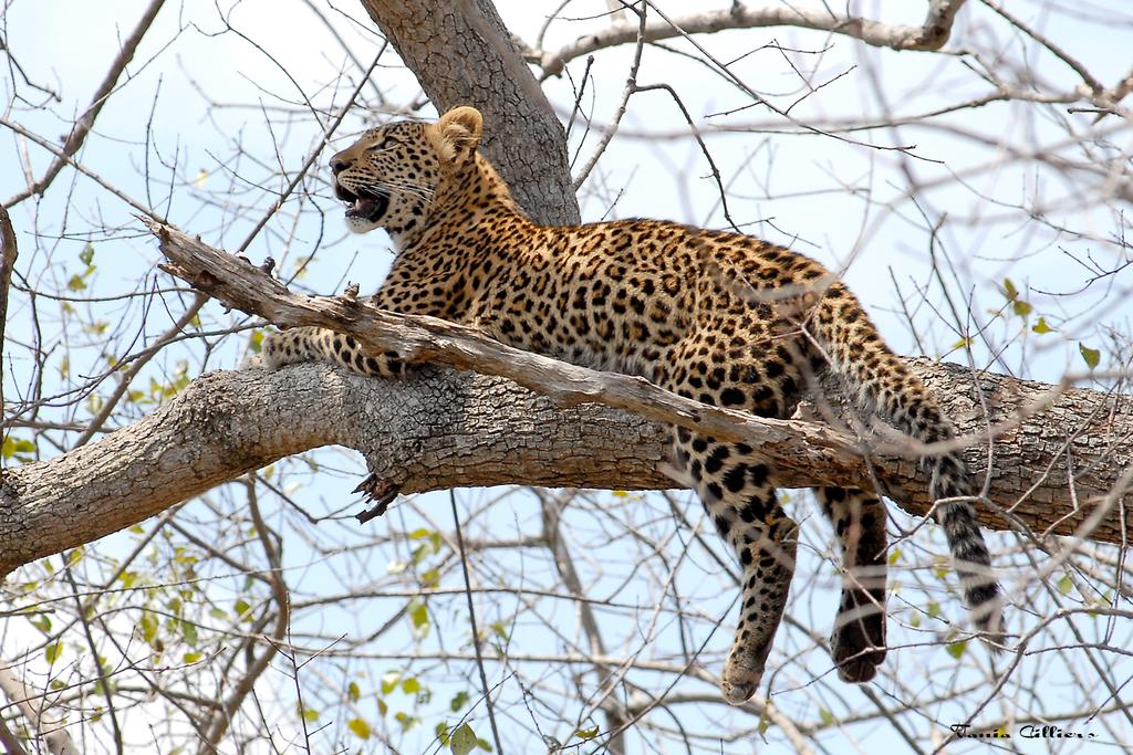 kwa madwala manyatta rock camp 11