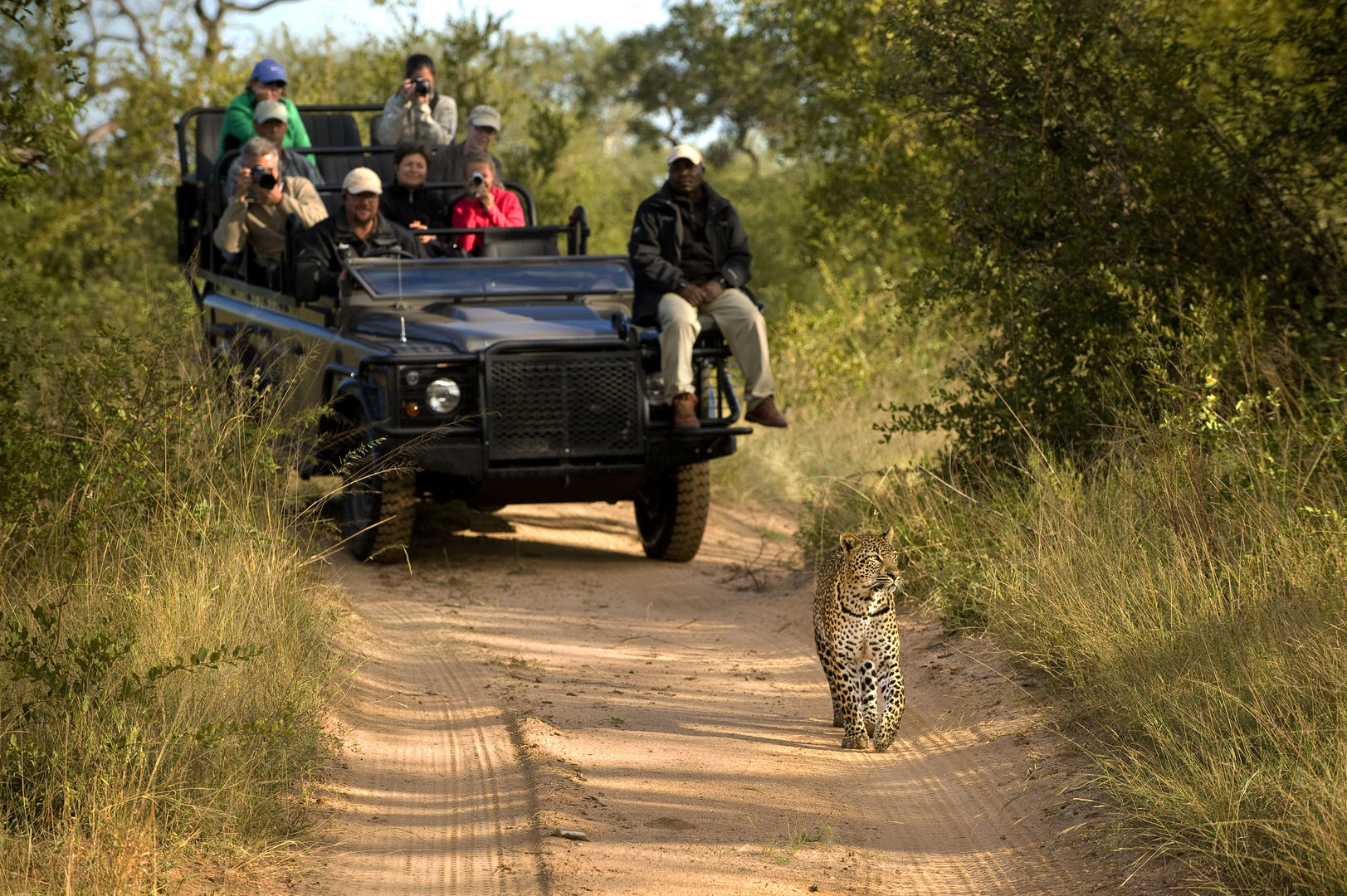 lion sands ivory lodge sabi sands lodges reservations 80