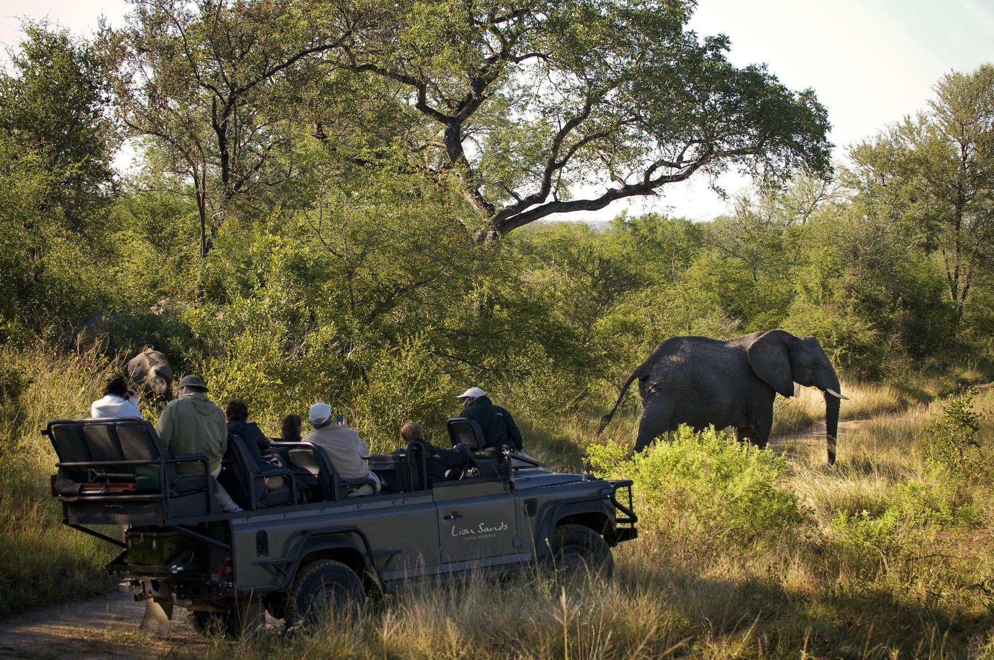 lion sands river lodge activities game drive 07