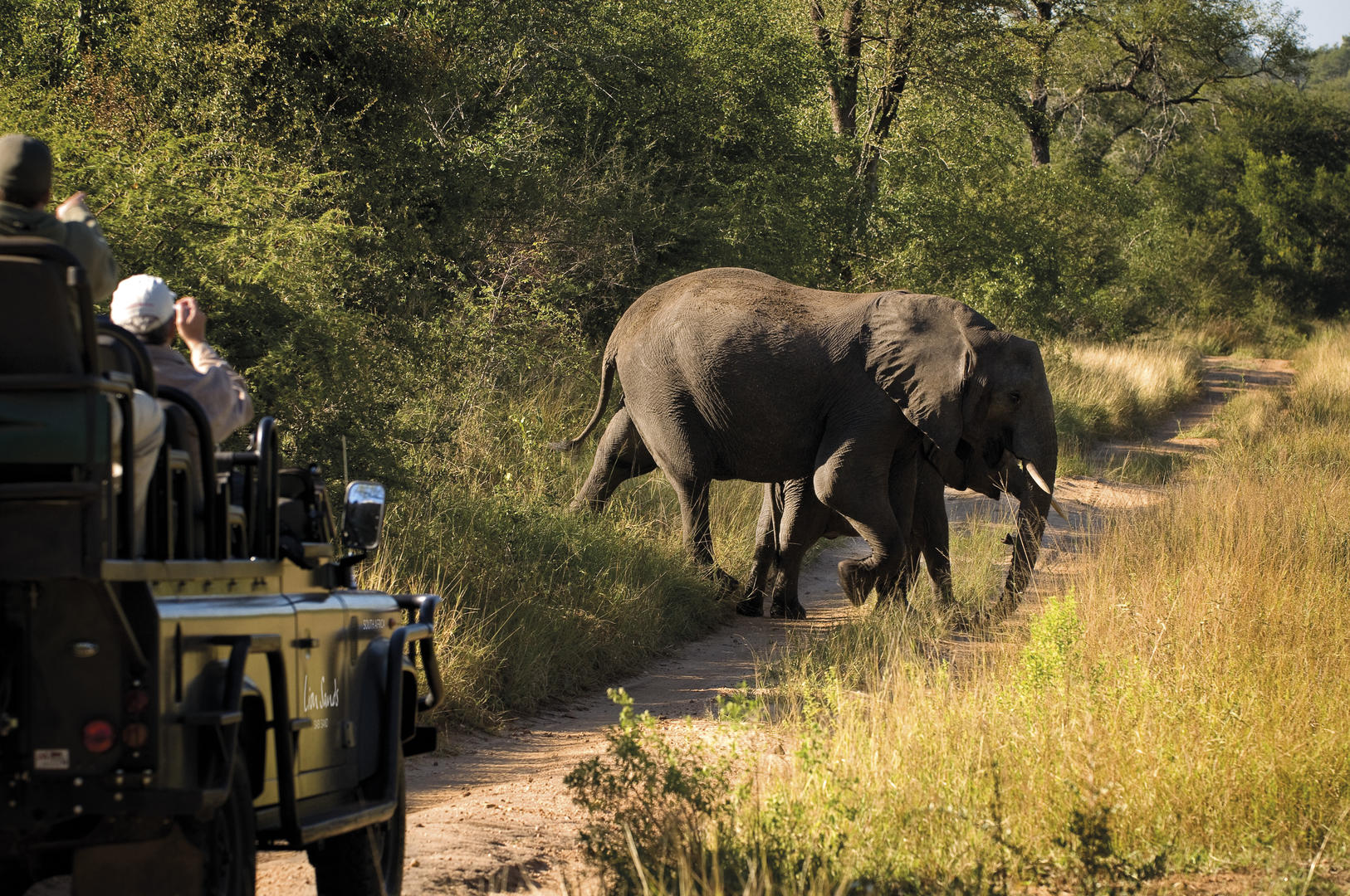 lion sands river lodge images 2021 3