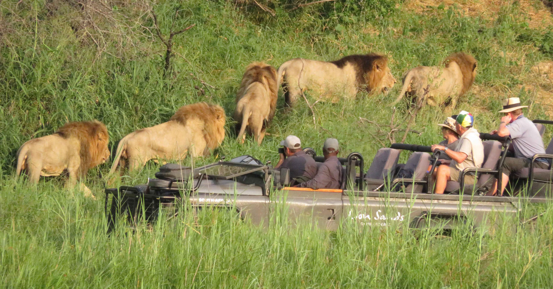 lion sands river lodge images 2021 41