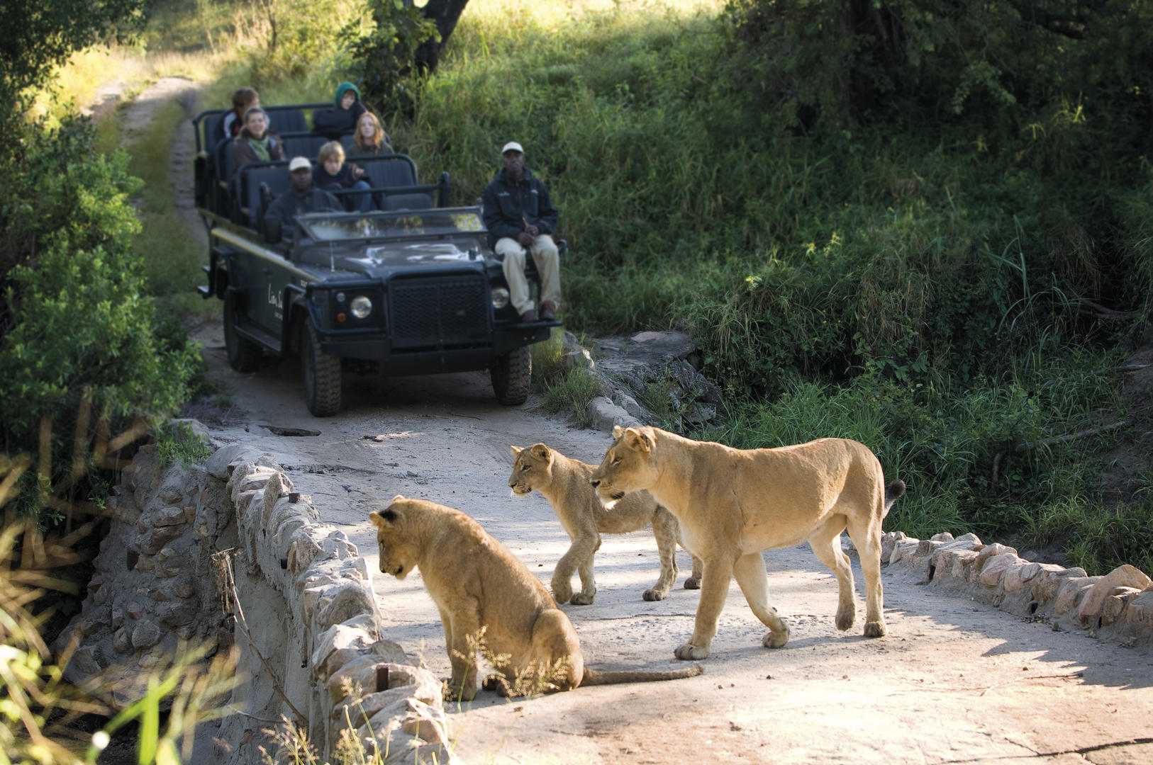 lion sands river lodge sabi sands lodges reservations 22