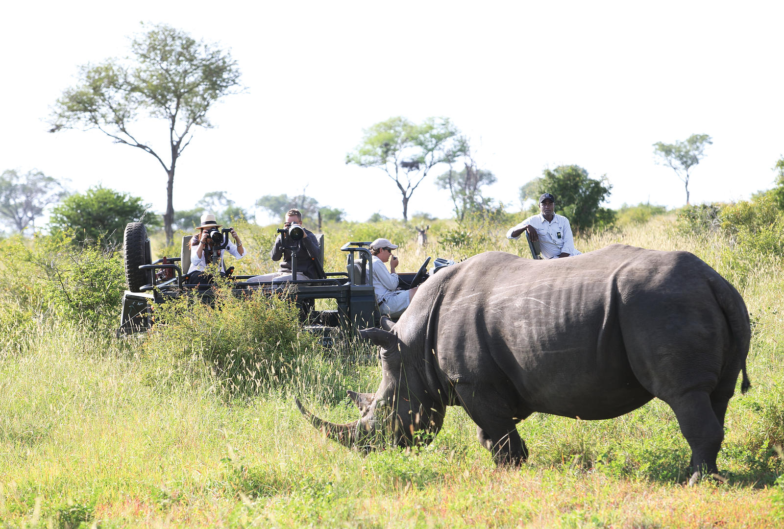 londolozi tree camp sabi sands lodges reservations 101