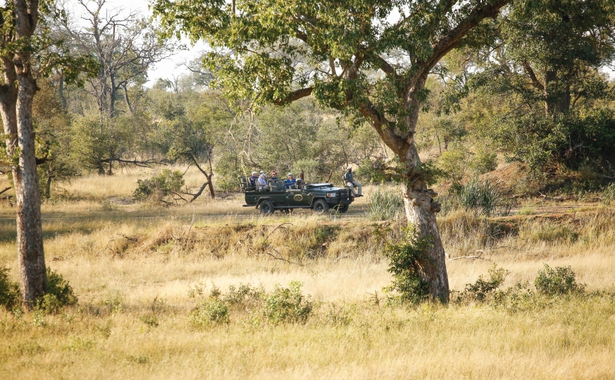 nottens bush camp images 10