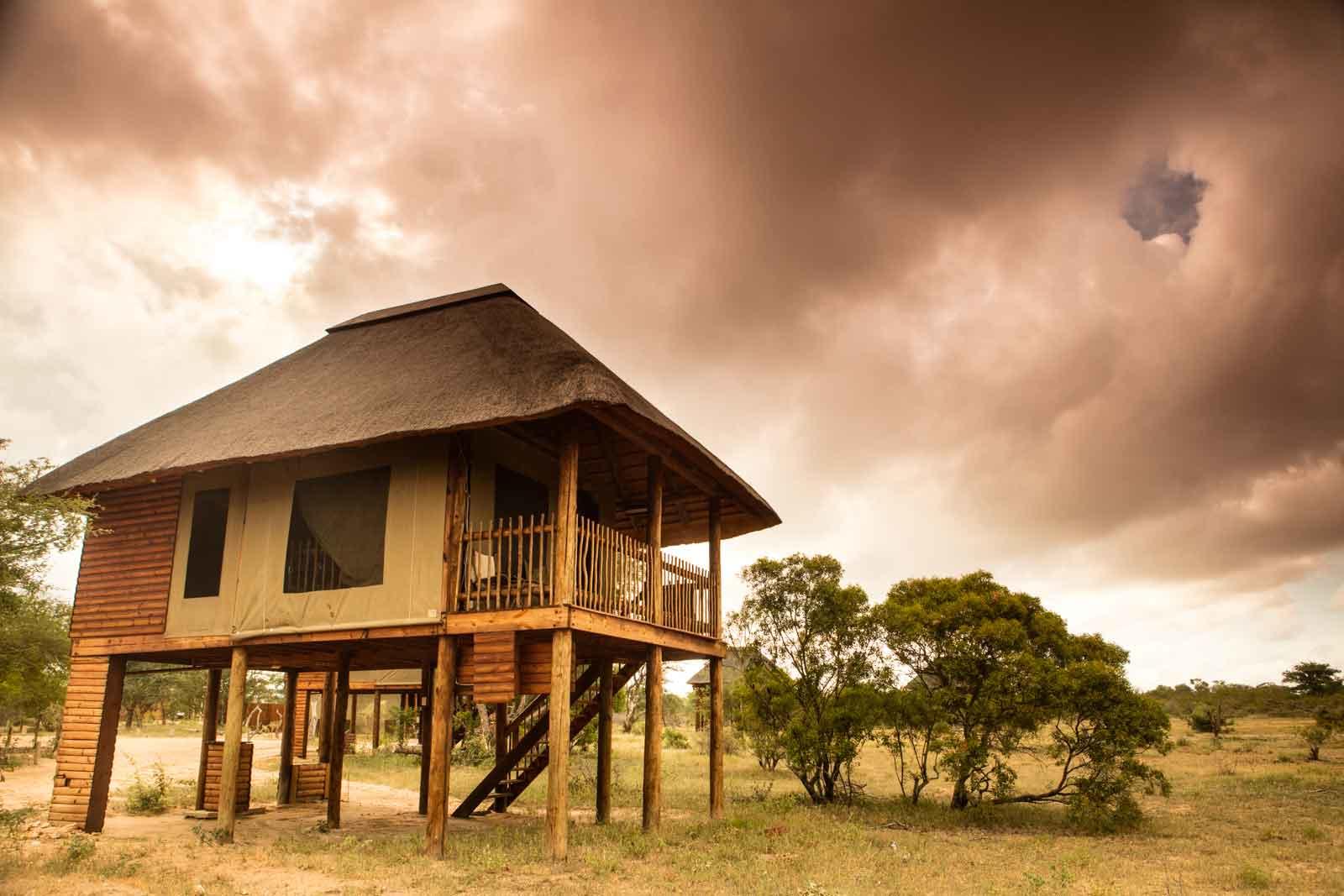 nthambo tree camp kruger national park 13