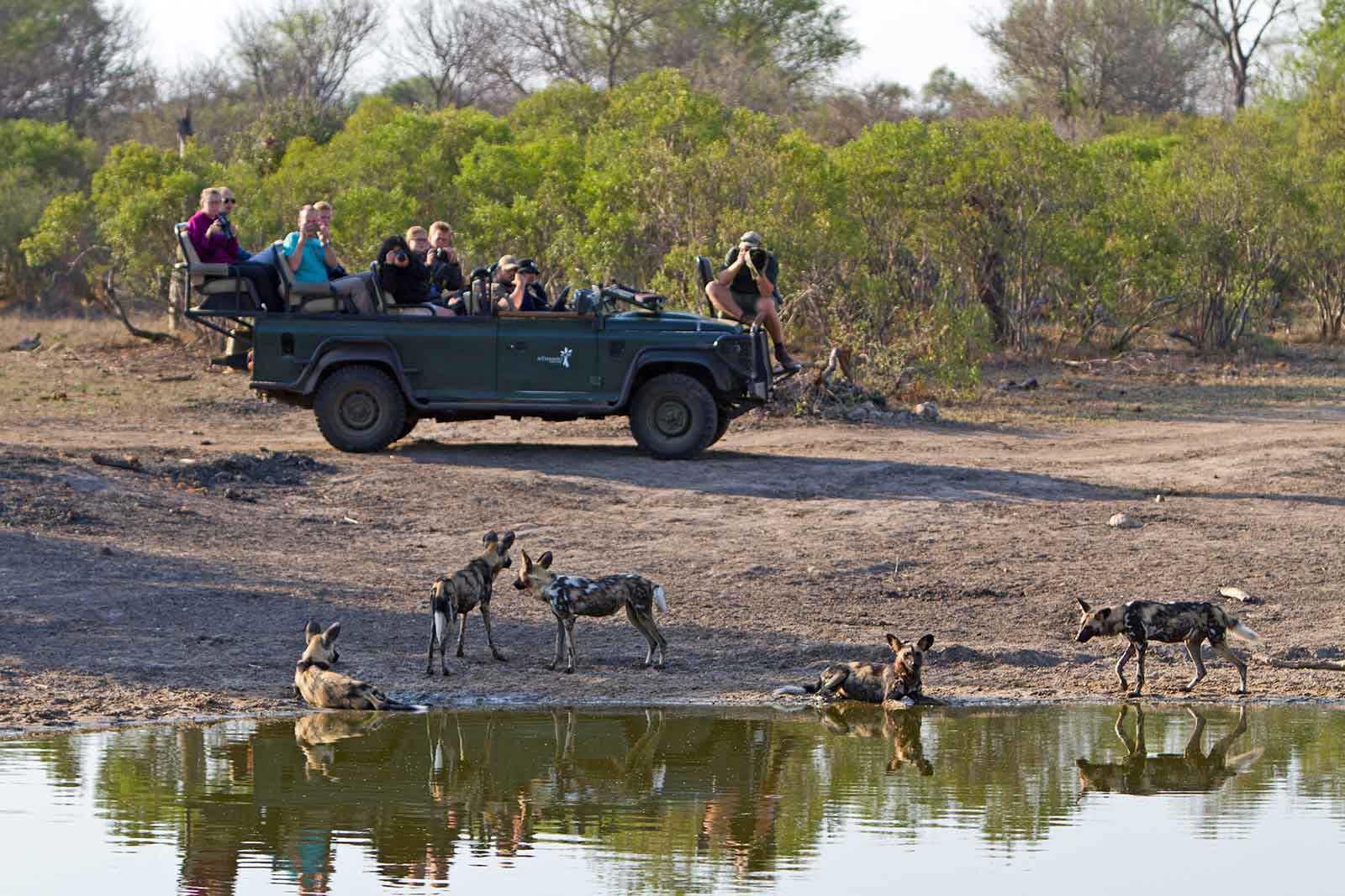 nthambo tree camp kruger national park 16