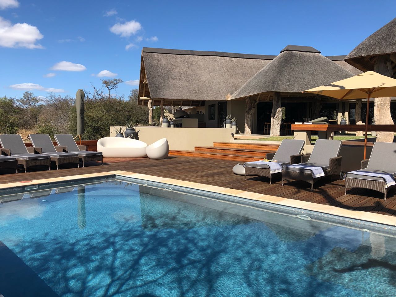 rockfig safari lodge gallery 6