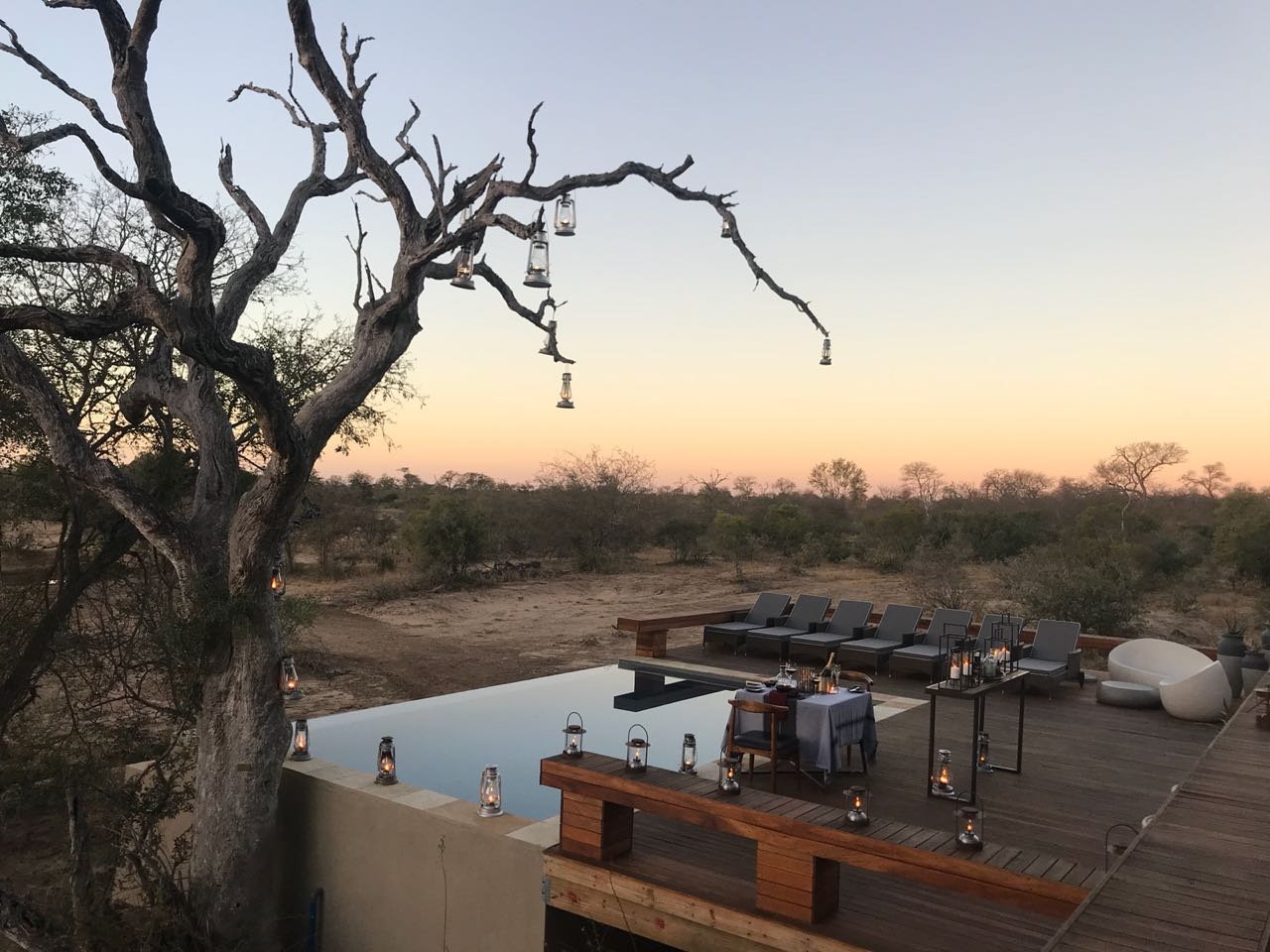 rockfig safari lodge gallery 7