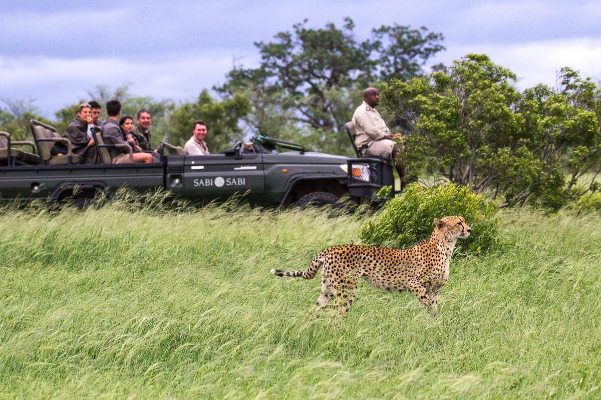 sabi sabi little bush camp sabi sands lodges reservations 27