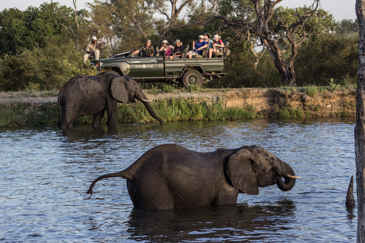 sabi sabi little bush camp sabi sands lodges reservations 30