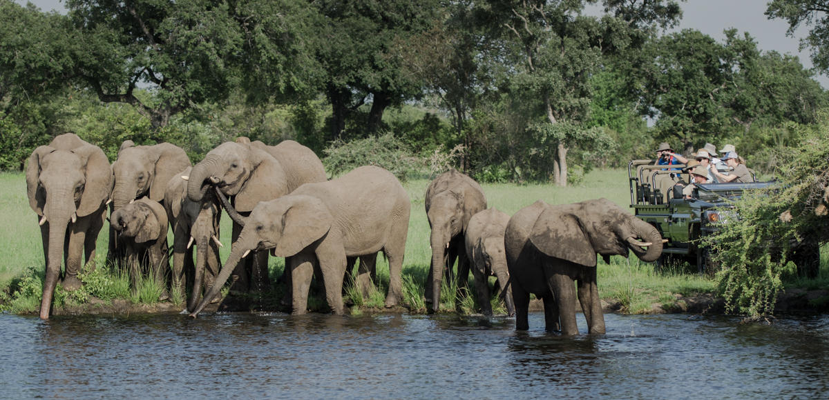 sabi sabi selati camp sabi sands bookings 31