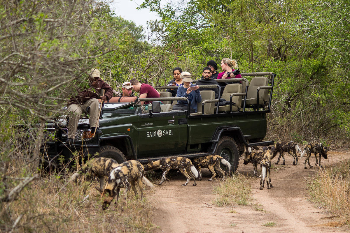 sabi sabi selati camp sabi sands bookings 33