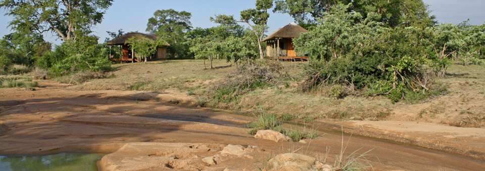 shindzela tented safari camp 6