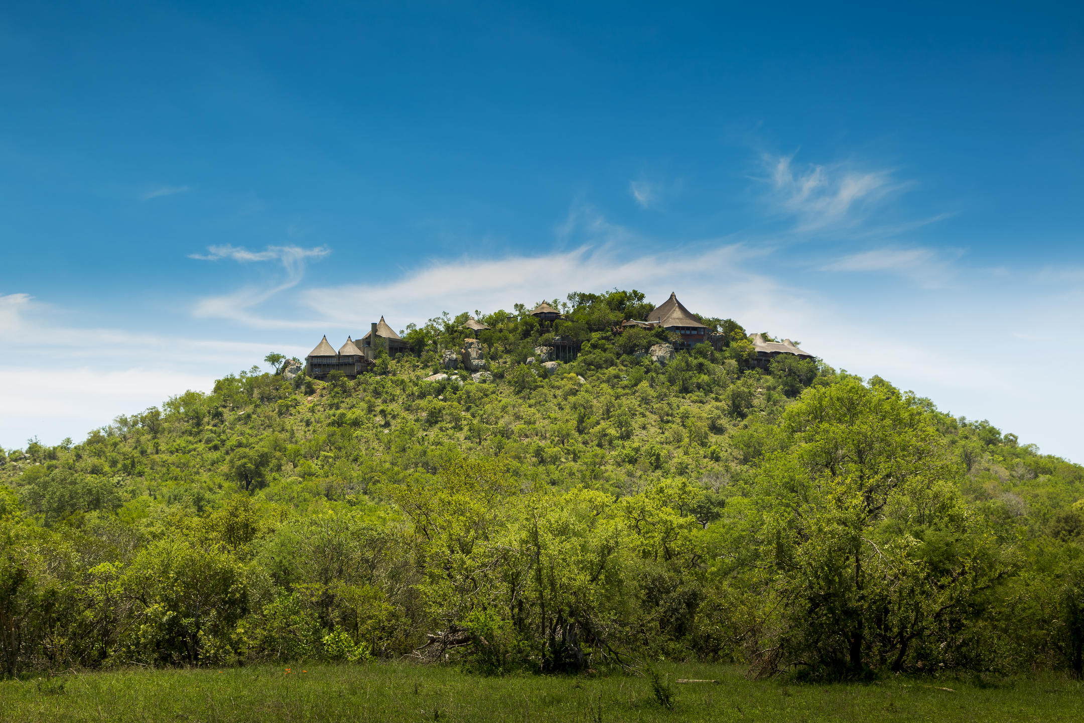 ulusaba rock lodge sabi sands reservations 27