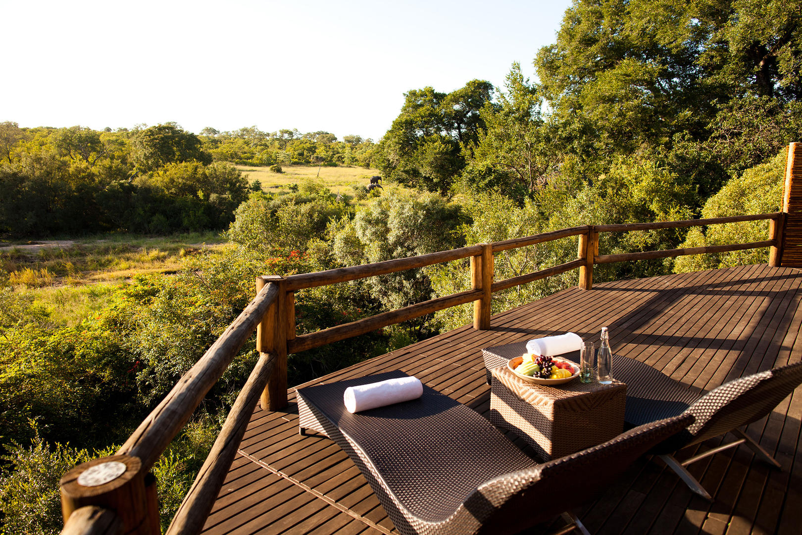 ulusaba safari lodge images 43