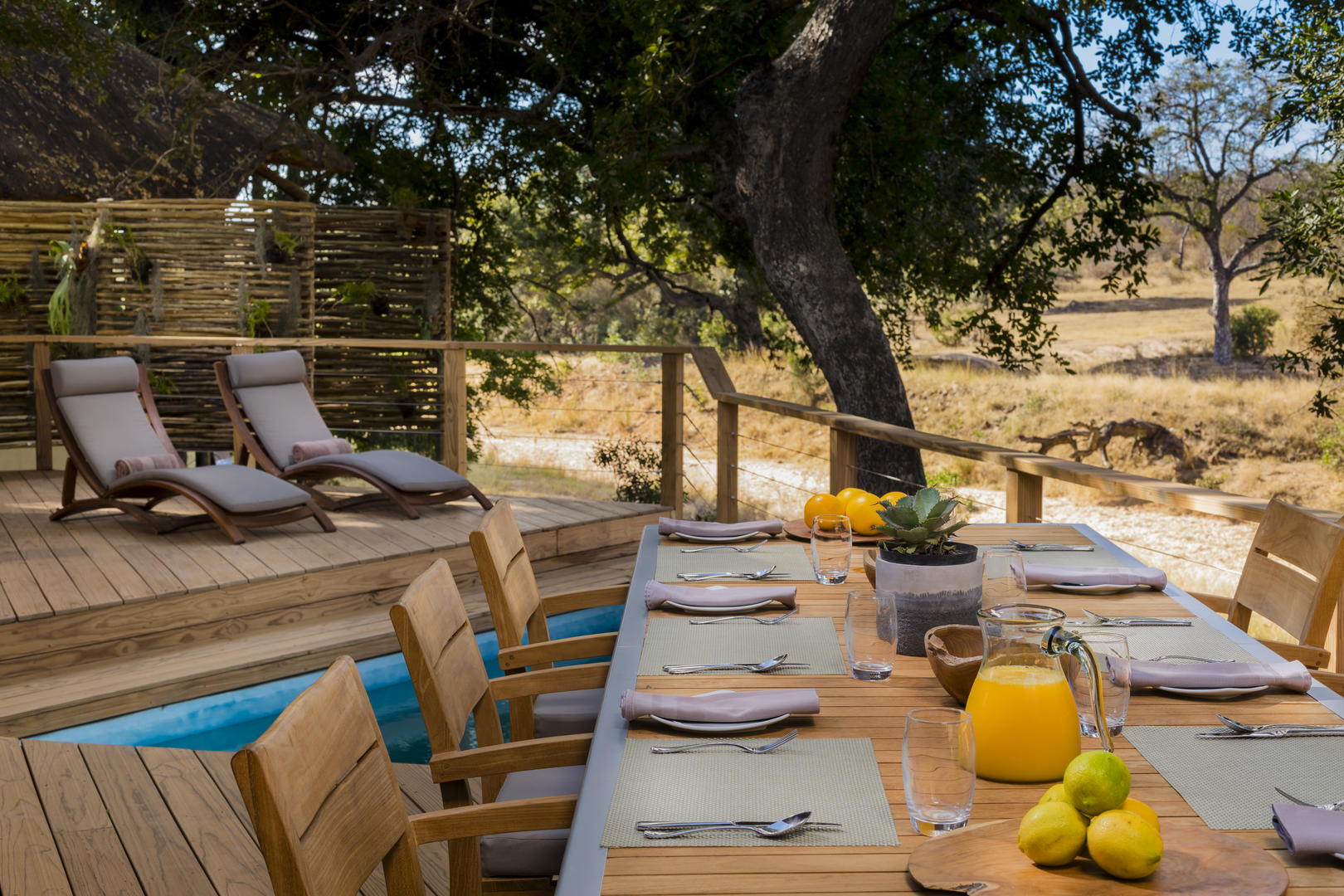 ulusaba safari lodge images 80