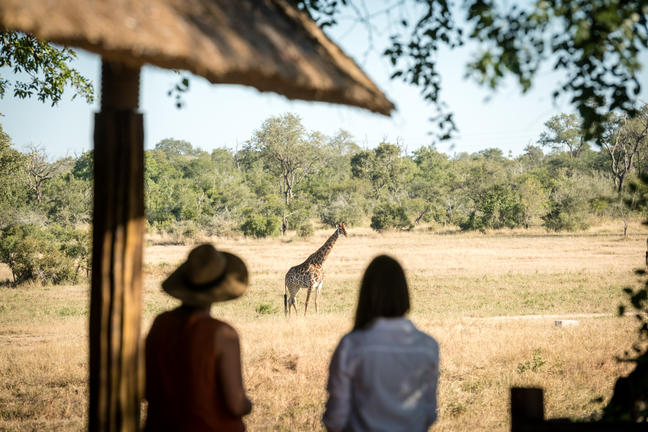 umkumbe bush lodge sabi sands images 79