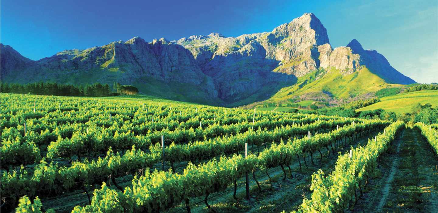 12 Day Cape Town Kruger Park Sabi Sand and Victoria Falls Luxury Safari Best of Southern Africa 1