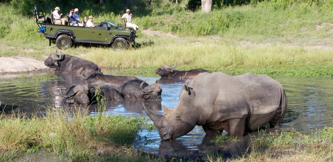 12 Day Cape Town Kruger Park Sabi Sand and Victoria Falls Luxury Safari Best of Southern Africa 10