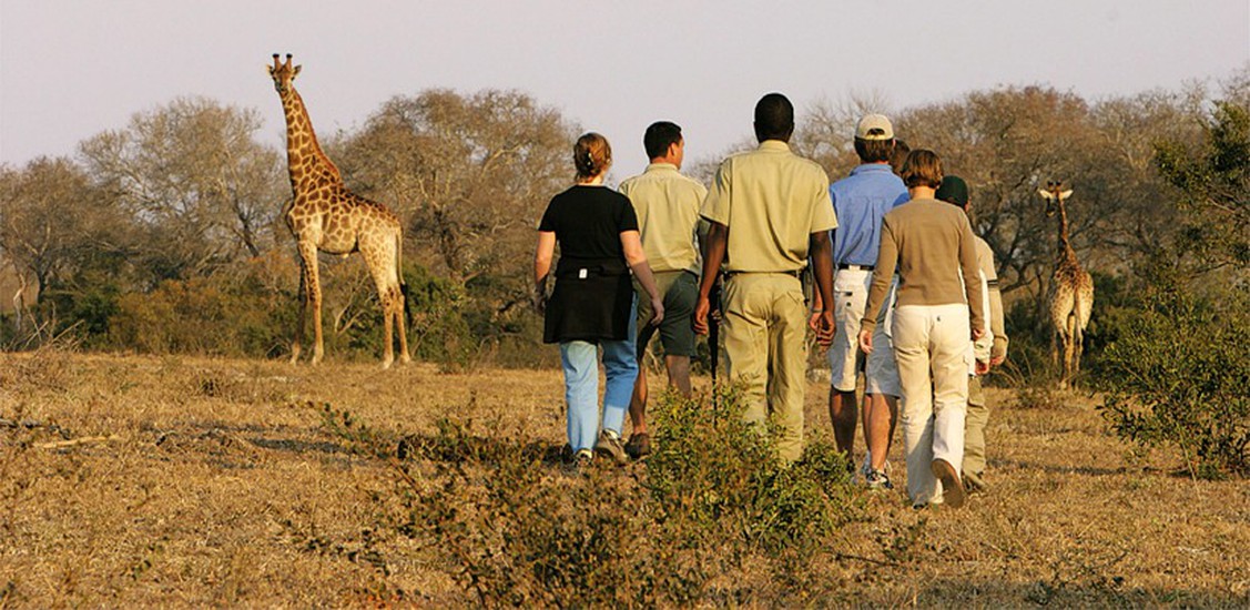 12 Day Cape Town Kruger Park Sabi Sand and Victoria Falls Luxury Safari Best of Southern Africa 11
