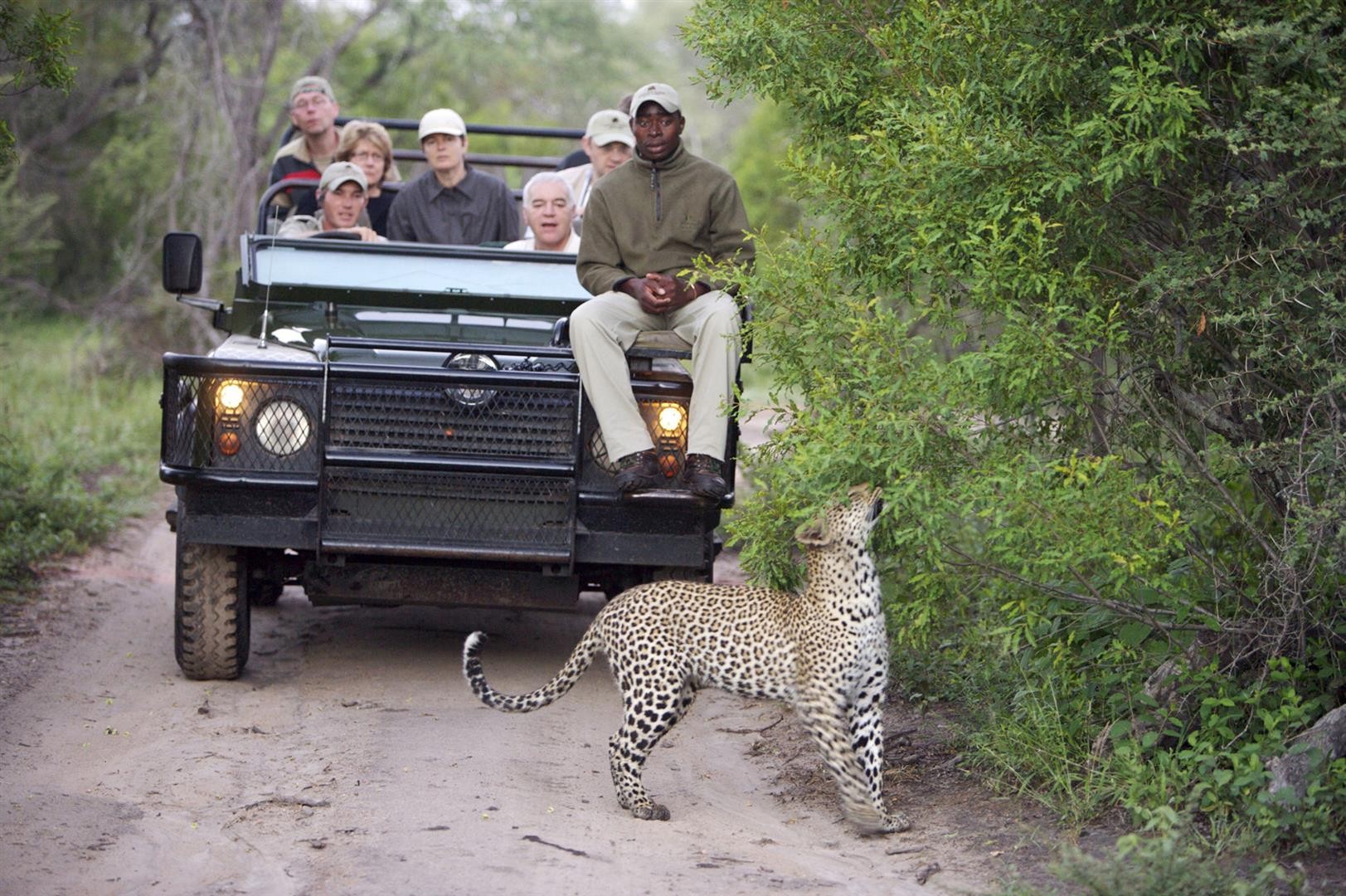 12 Day Cape Town Kruger Park Sabi Sand and Victoria Falls Luxury Safari Best of Southern Africa 9