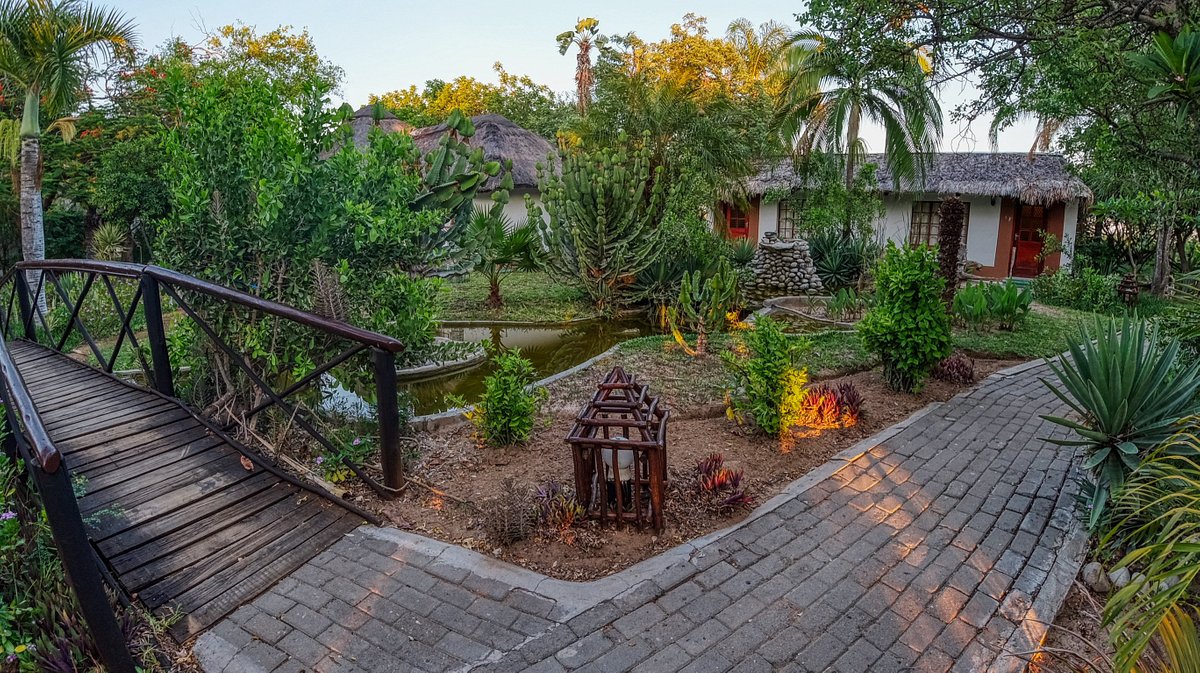 4 Day Kruger Park Private Lodge Treehouse Safari 2