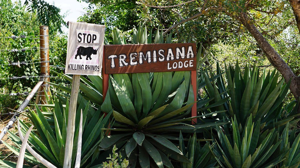 4 Day Kruger Park Private Lodge Treehouse Safari 4