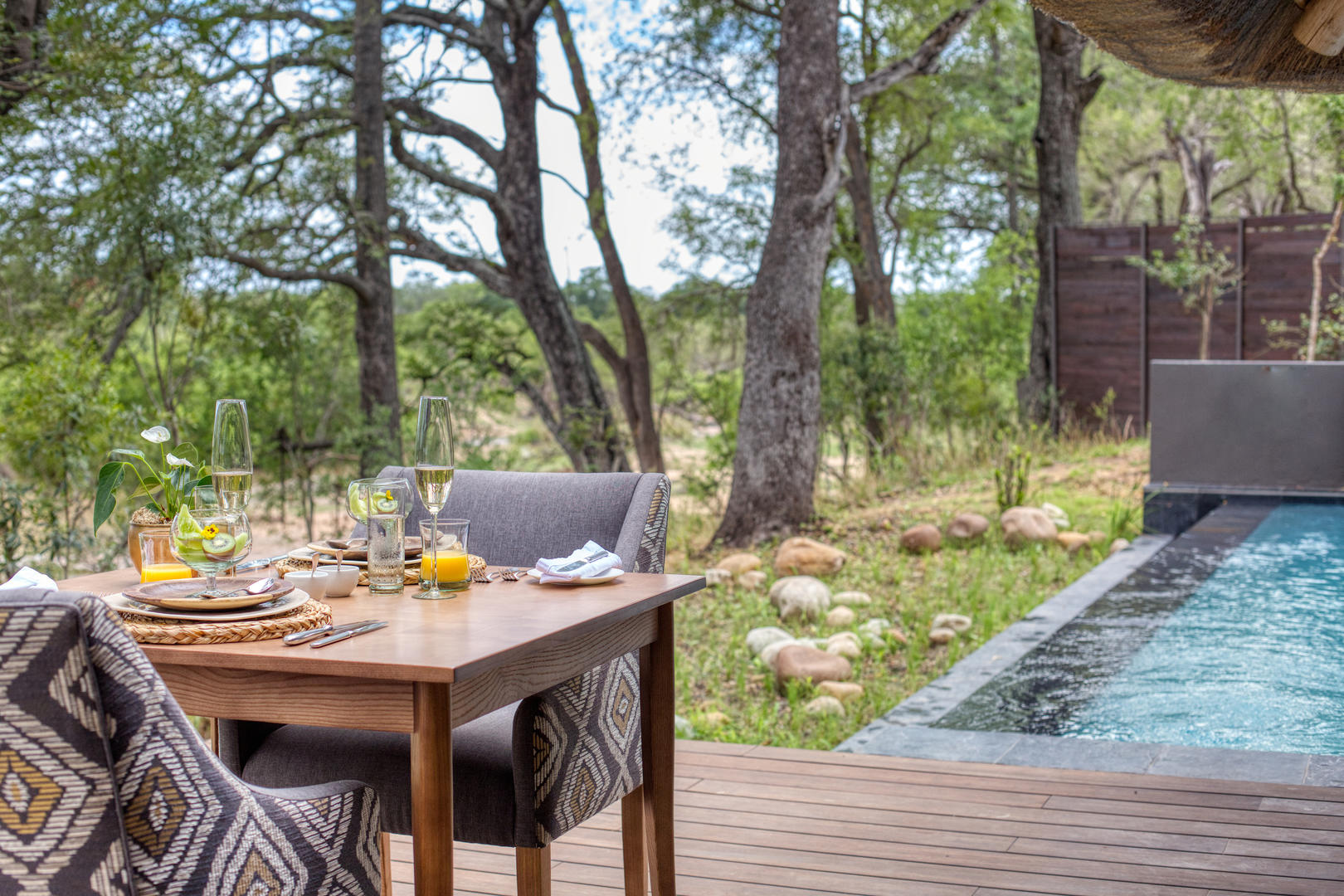 Dulini Leadwood Lodge Dulini Game Reserve Sabi Sand Game Reserve Kruger Park 16
