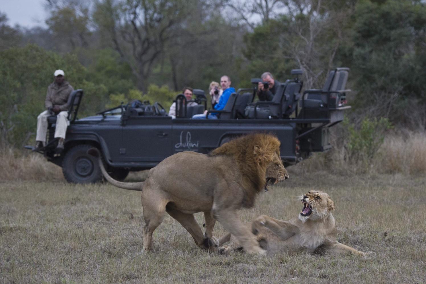 Dulini Moya Sabi Sand Game Reserve Kruger Private Reserves 36