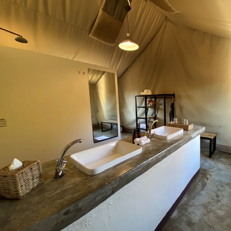 Honeyguide Khoka Moya Luxury Tented Camp Manyeleti Reserve Kruger 1