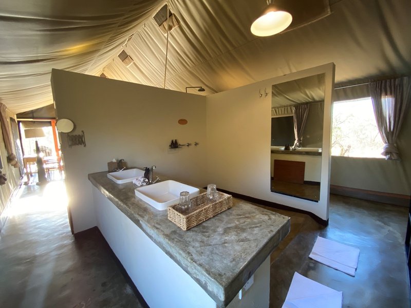 Honeyguide Khoka Moya Luxury Tented Camp Manyeleti Reserve Kruger 11