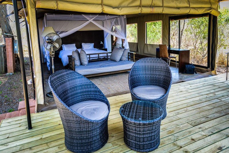 Honeyguide Khoka Moya Luxury Tented Camp Manyeleti Reserve Kruger 14