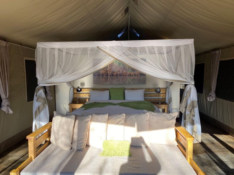 Honeyguide Khoka Moya Luxury Tented Camp Manyeleti Reserve Kruger 15