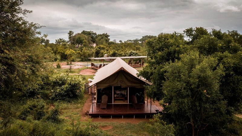 Honeyguide Khoka Moya Luxury Tented Camp Manyeleti Reserve Kruger 17