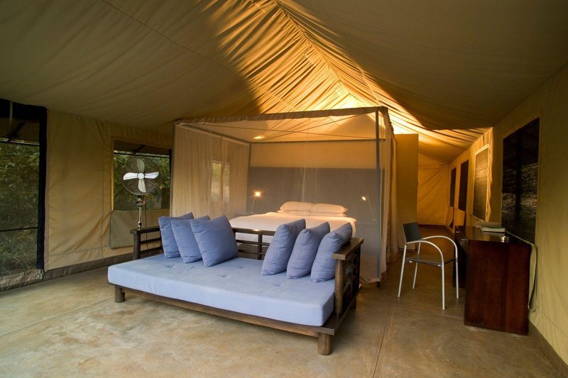 Honeyguide Khoka Moya Luxury Tented Camp Manyeleti Reserve Kruger 2