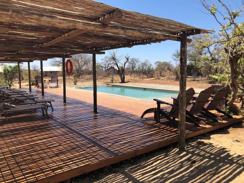 Honeyguide Khoka Moya Luxury Tented Camp Manyeleti Reserve Kruger 6