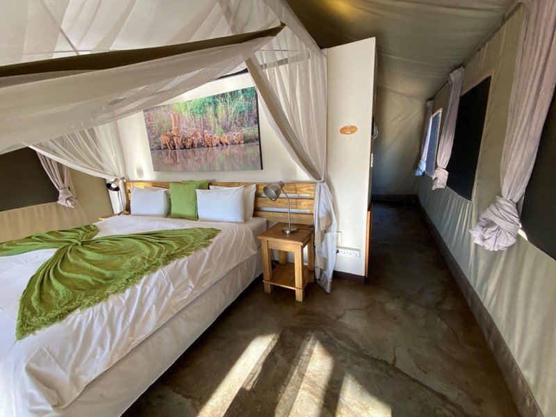 Honeyguide Khoka Moya Luxury Tented Camp Manyeleti Reserve Kruger 7