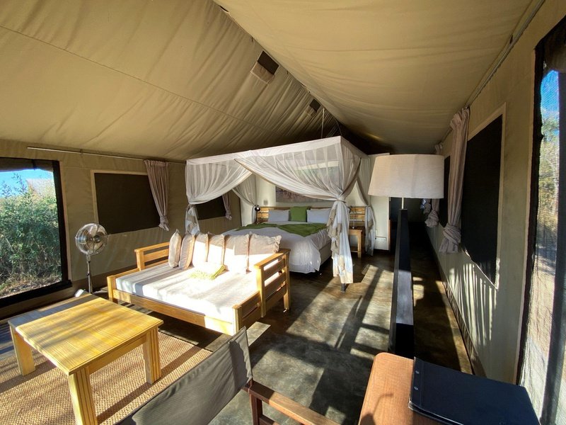Honeyguide Khoka Moya Luxury Tented Camp Manyeleti Reserve Kruger 8