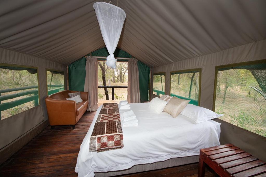 Ndzhaka Tented Camp Manyeleti Game Reserve Kruger National Park 15