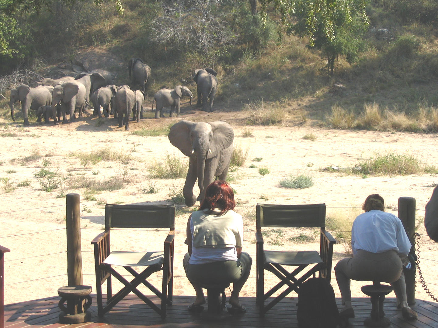 Rhino Post Safari Lodge Kruger Park 2
