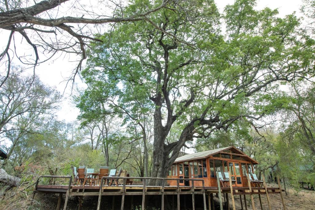 Umlani Bush Camp Kruger National Park 13