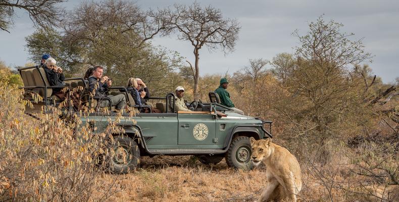 Umlani Bush Camp Kruger National Park 27
