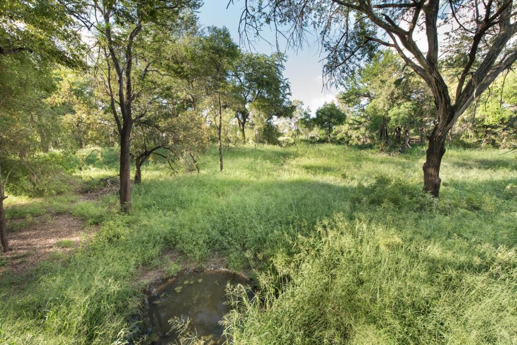 Umlani Bush Camp Kruger National Park 8