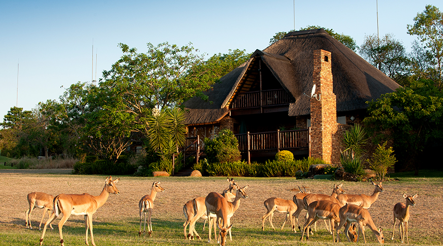 Kruger Park Lodge Hazyview 2