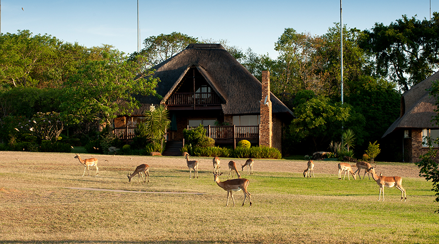 Kruger Park Lodge Hazyview 5