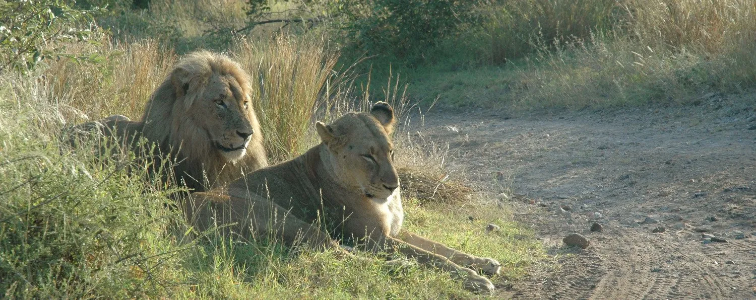 Pungwe Safari Lodge Kruger National park 1