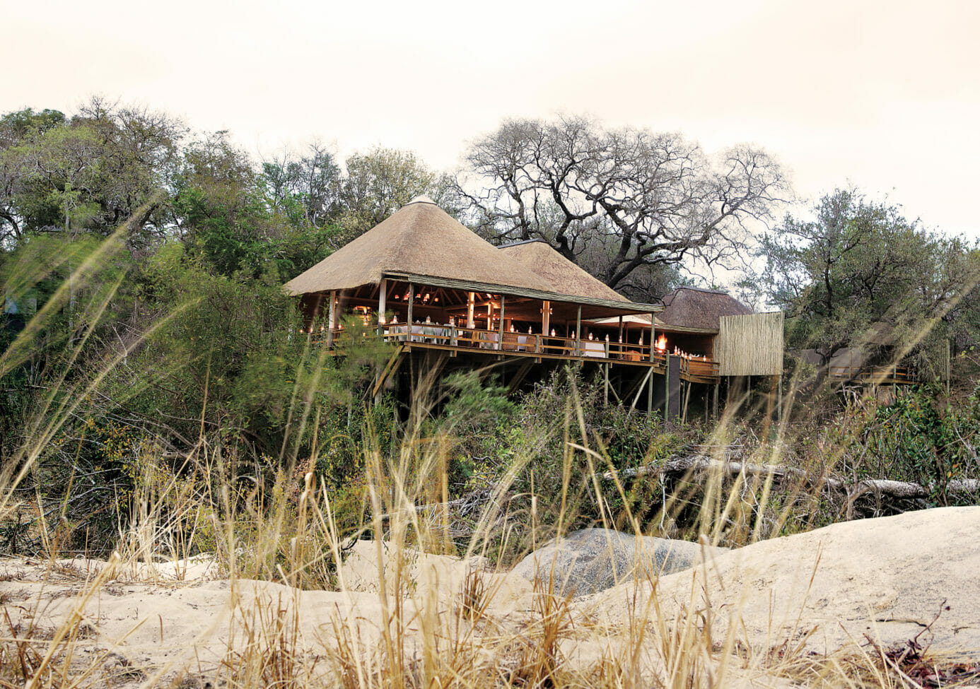 founders camp londolozi