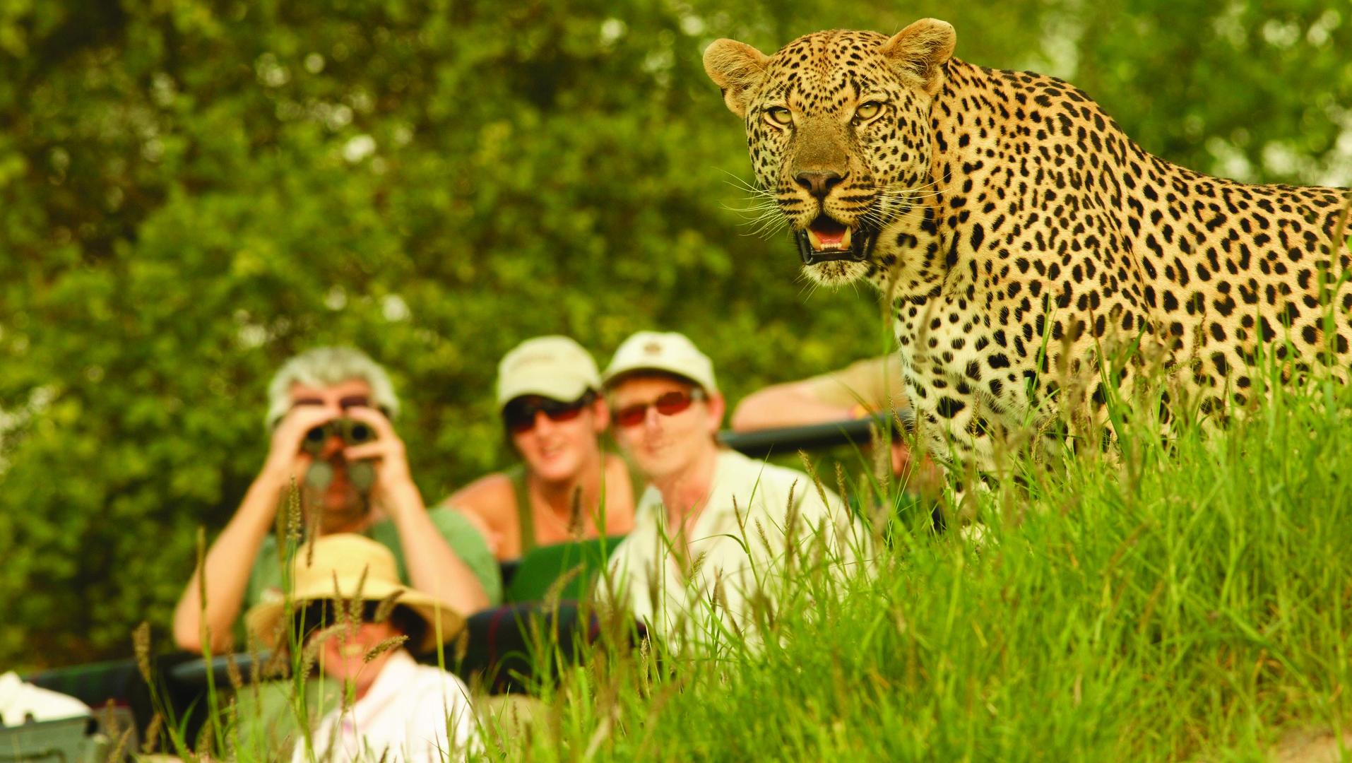 Kruger National Park Safari vs Private Reserve Safari – The Difference – Kruger Park Safari Reservations